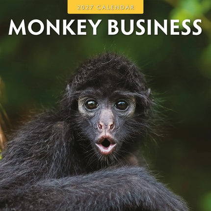 Red Robin Monkey Business Kalender 2027