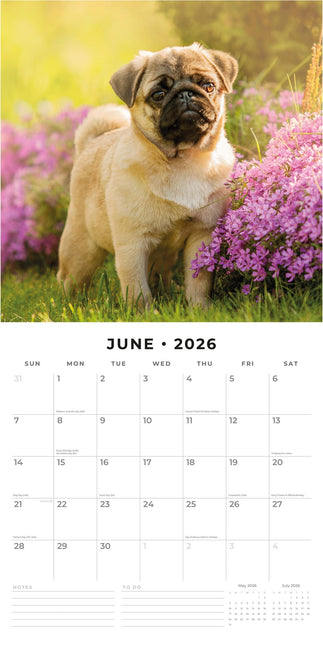 Red Robin Mopshond Kalender 2026