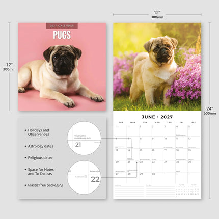 Red Robin Mopshond Kalender 2027