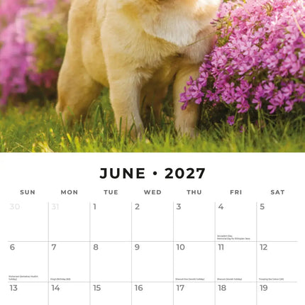 Red Robin Mopshond Kalender 2027