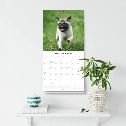 Red Robin Mopshond Kalender 2027