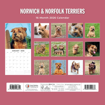 Red Robin Norwich en Norfolk Terrier Kalender 2026