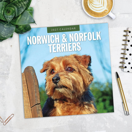 Red Robin Norwich en Norfolk Terrier Kalender 2027
