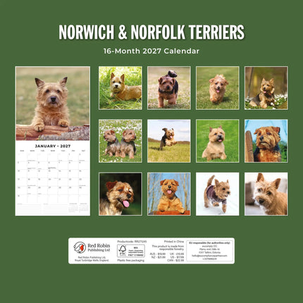 Red Robin Norwich en Norfolk Terrier Kalender 2027