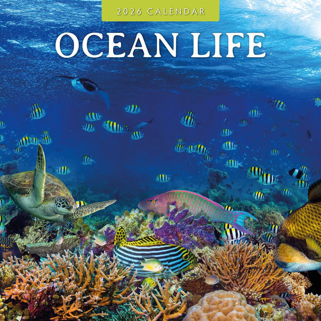 Red Robin Ocean Life Kalender 2026