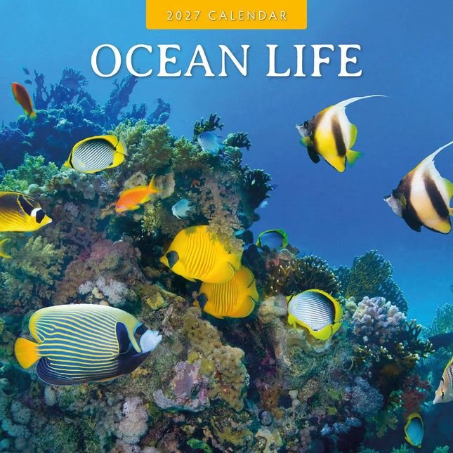 Red Robin Ocean Life Kalender 2027