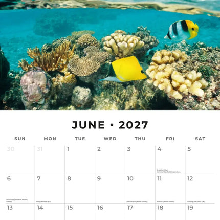 Red Robin Ocean Life Kalender 2027