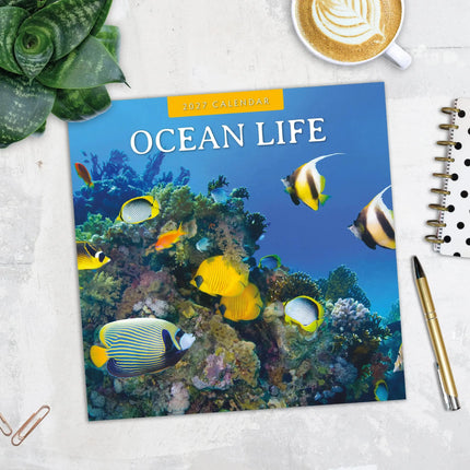 Red Robin Ocean Life Kalender 2027