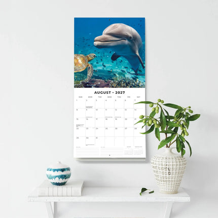 Red Robin Ocean Life Kalender 2027