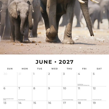 Red Robin Olifanten Kalender 2027