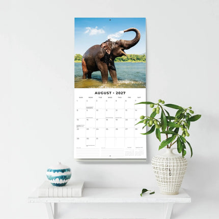 Red Robin Olifanten Kalender 2027