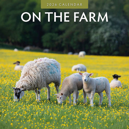 Red Robin On The Farm Kalender 2026