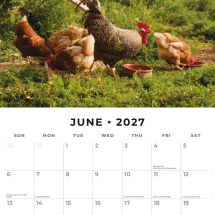 Red Robin On The Farm Kalender 2027