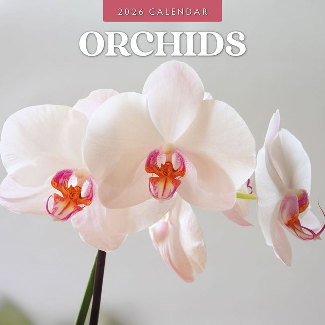 Red Robin Orchidee Kalender 2026