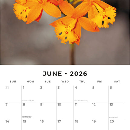 Red Robin Orchidee Kalender 2026