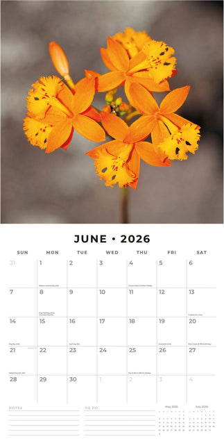 Red Robin Orchidee Kalender 2026