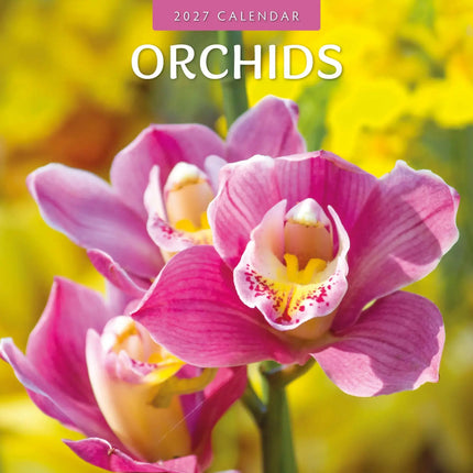 Red Robin Orchidee Kalender 2027
