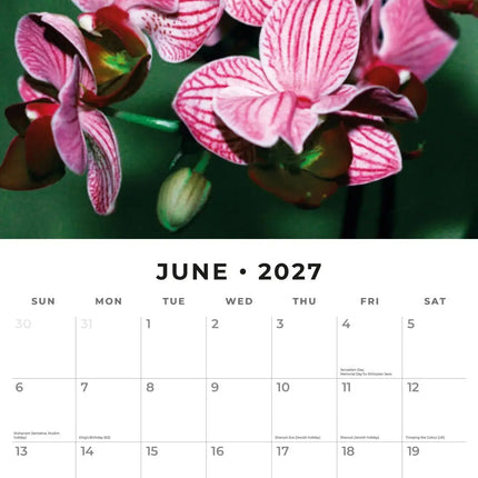 Red Robin Orchidee Kalender 2027
