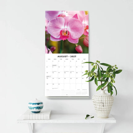 Red Robin Orchidee Kalender 2027