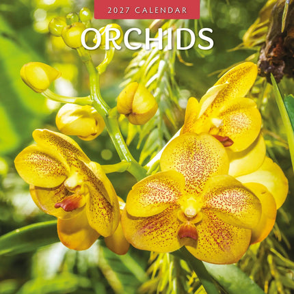 Red Robin Orchidee Kalender 2027