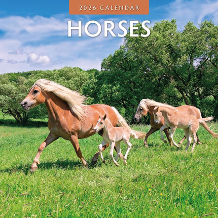 Red Robin Paarden Kalender 2026