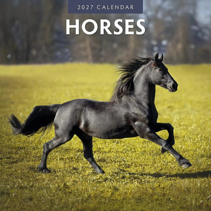 Red Robin Paarden Kalender 2027