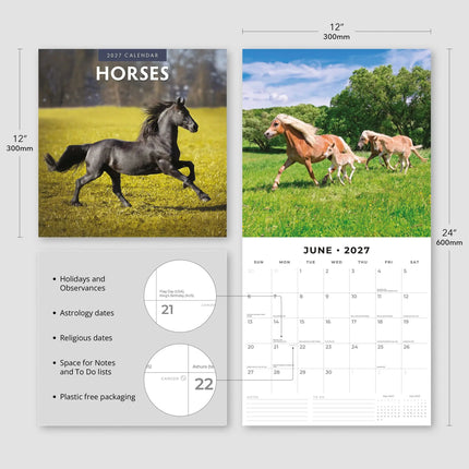 Red Robin Paarden Kalender 2027