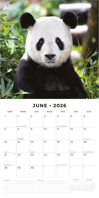 Red Robin Panda Kalender 2026