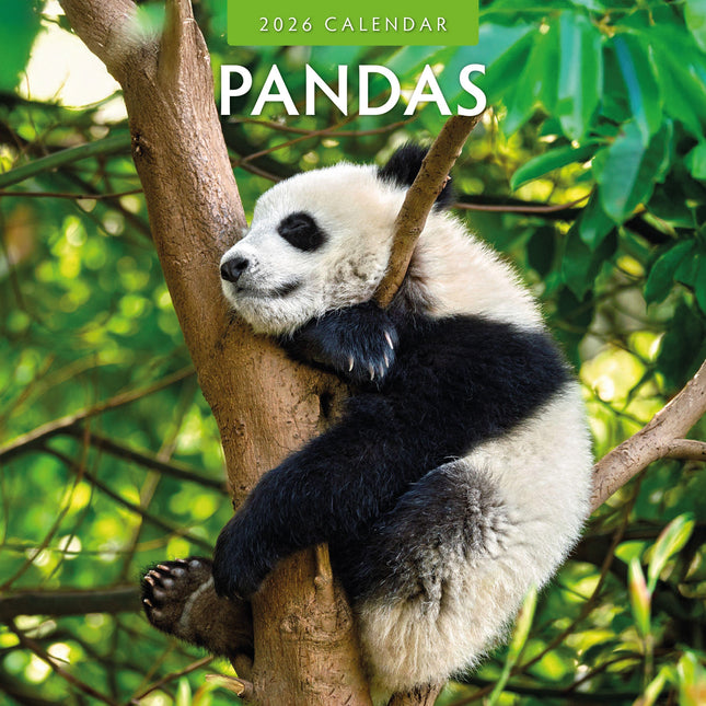 Red Robin Panda Kalender 2026
