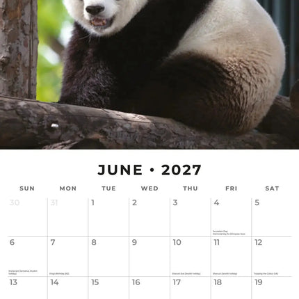 Red Robin Panda Kalender 2027
