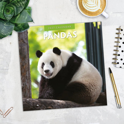 Red Robin Panda Kalender 2027