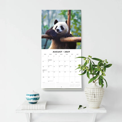Red Robin Panda Kalender 2027