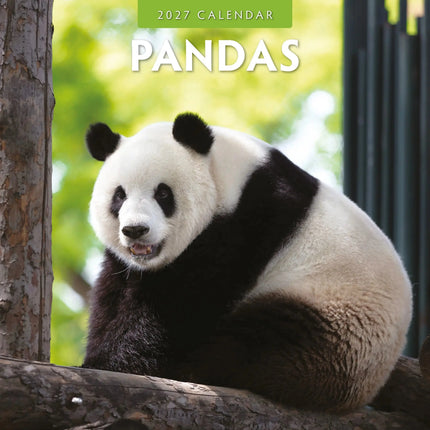 Red Robin Panda Kalender 2027