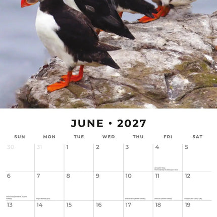 Red Robin Papegaaiduiker Kalender 2027