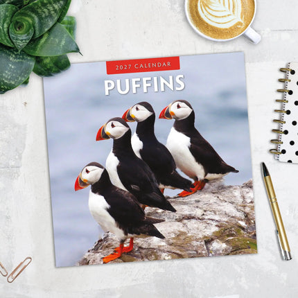 Red Robin Papegaaiduiker Kalender 2027
