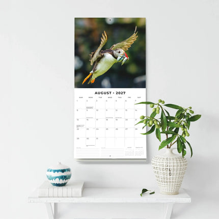 Red Robin Papegaaiduiker Kalender 2027
