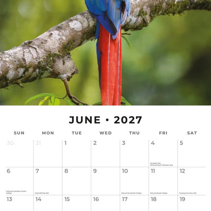 Red Robin Papegaaien Kalender 2027