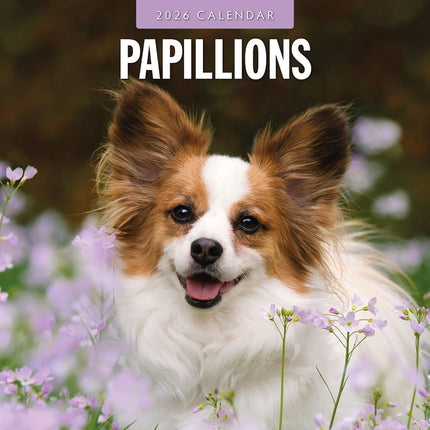 Red Robin Papillon Kalender 2026