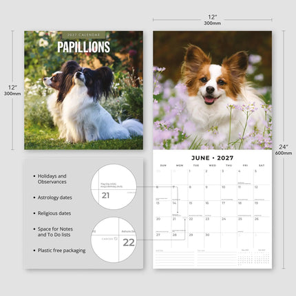 Red Robin Papillon Kalender 2027