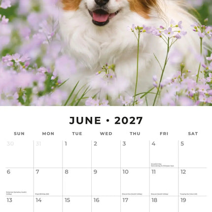 Red Robin Papillon Kalender 2027