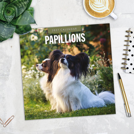 Red Robin Papillon Kalender 2027