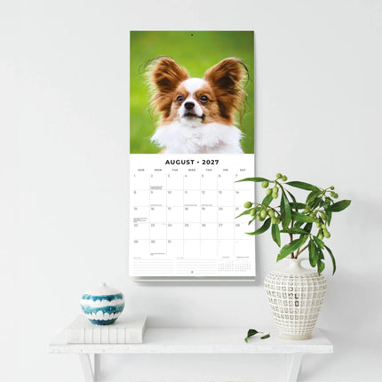 Red Robin Papillon Kalender 2027