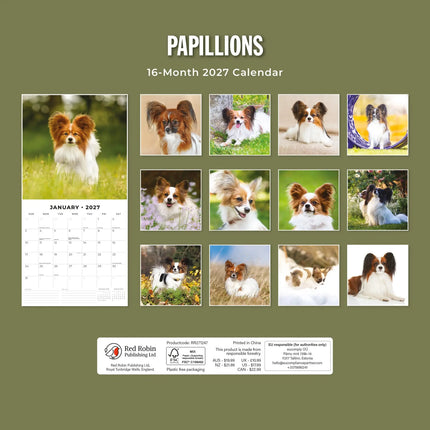 Red Robin Papillon Kalender 2027
