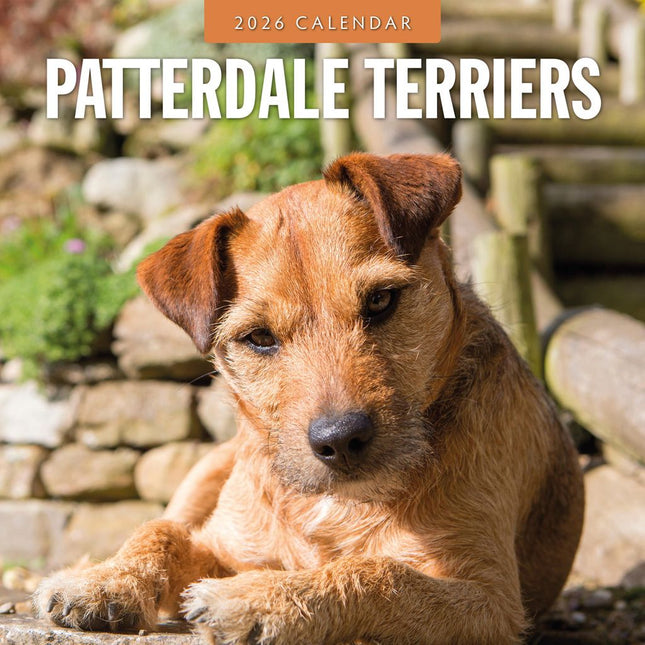 Red Robin Patterdale Terrier Kalender 2026