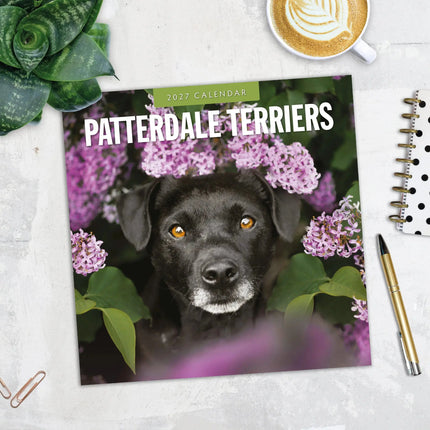 Red Robin Patterdale Terrier Kalender 2027