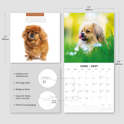 Red Robin Pekingees Kalender 2027
