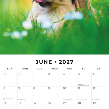 Red Robin Pekingees Kalender 2027