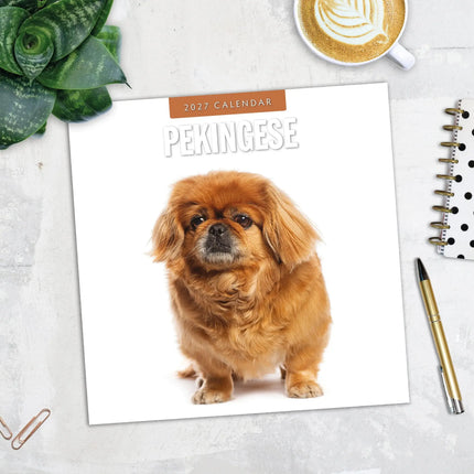 Red Robin Pekingees Kalender 2027