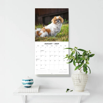 Red Robin Pekingees Kalender 2027