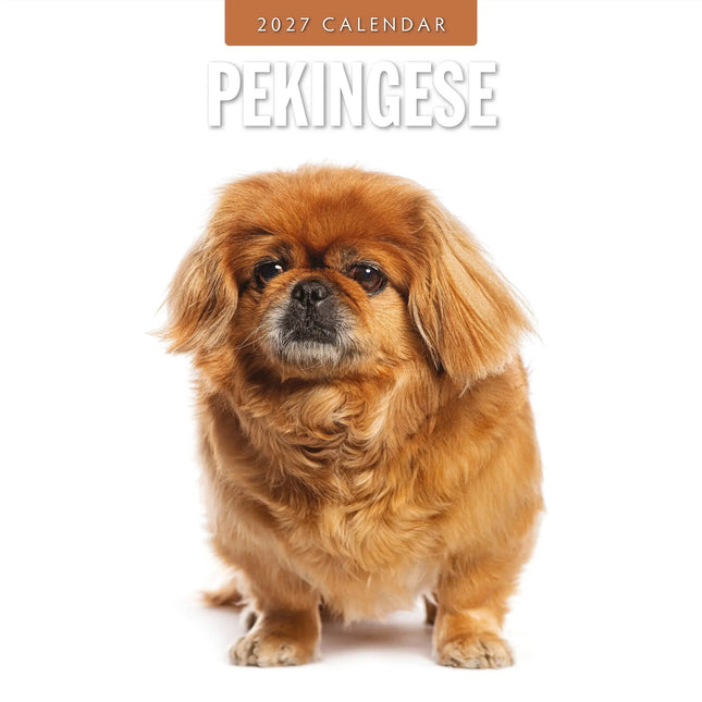 Red Robin Pekingees Kalender 2027